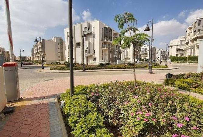 8000757 - صورة العقار 2