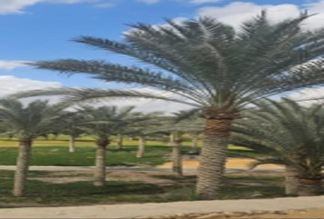8138629 - الصورة الرئيسية للعقار