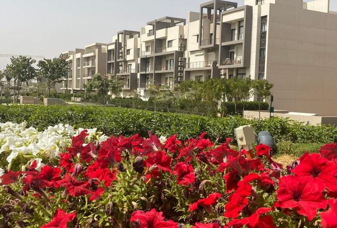 8198407 - Property Image 2