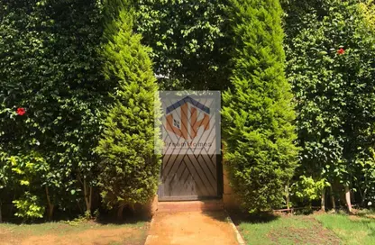 Townhouse - 4 Bedrooms - 3 Bathrooms for rent in El Rehab Extension - Al Rehab - New Cairo City - Cairo