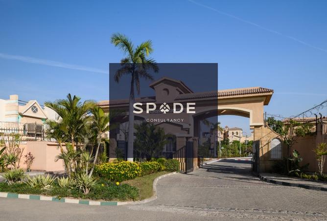 8197603 - صورة العقار 2