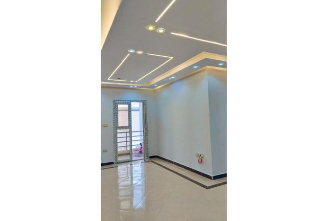 8225407 - Property Image 3