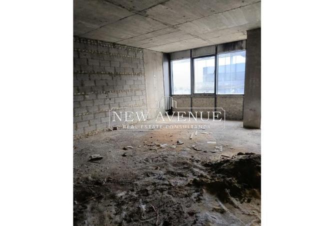 8136872 - Property Image 3