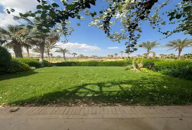 8154416 - Property Image 3