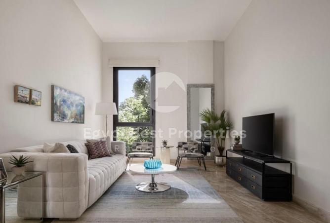 8228985 - Property Image 3