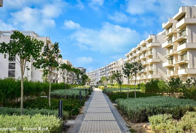 8138128 - Property Image 3