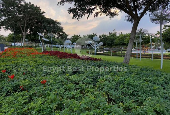 7906339 - Property Image 3