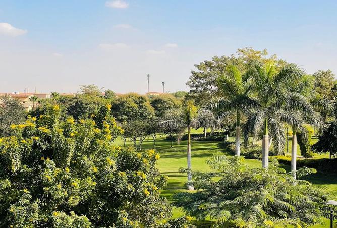 8521705 - Property Image 2