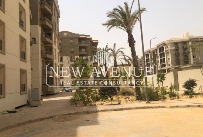 8245464 - الصورة الرئيسية للعقار