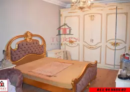 Apartment - 3 Bedrooms - 1 Bathroom for sale in Janaklees - Hay Sharq - Alexandria