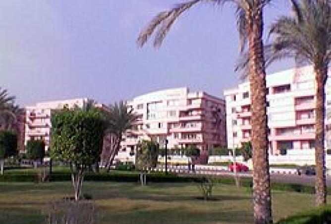 8286252 - صورة العقار 3