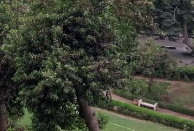 8211853 - Property Image 3