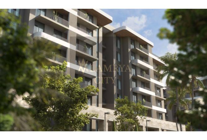 8207286 - Property Image 3