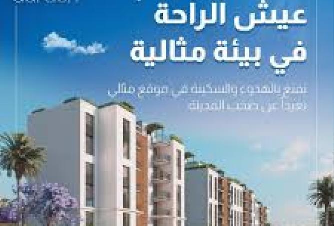 7926636 - Property Image 2