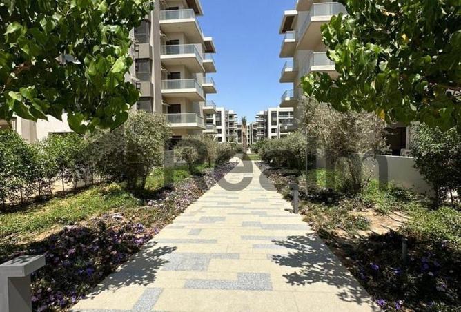 8309537 - Property Image 3