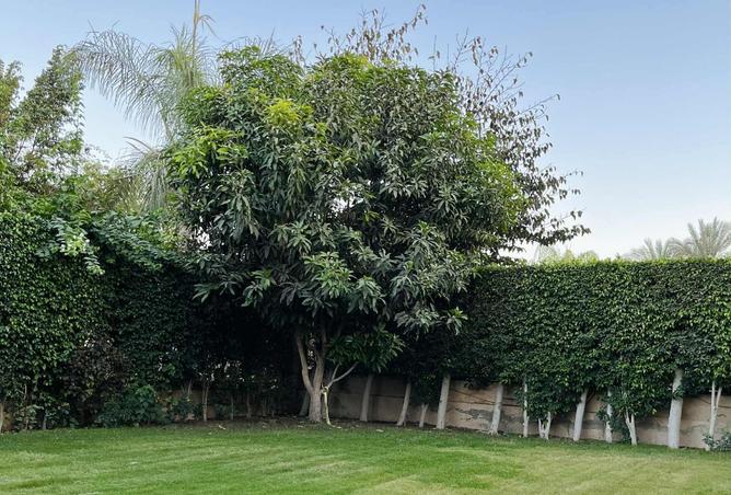 8228100 - صورة العقار 2