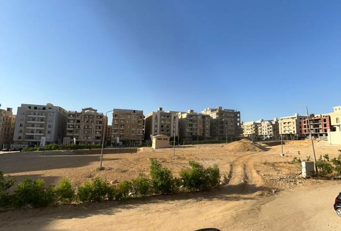 8010371 - صورة العقار 3