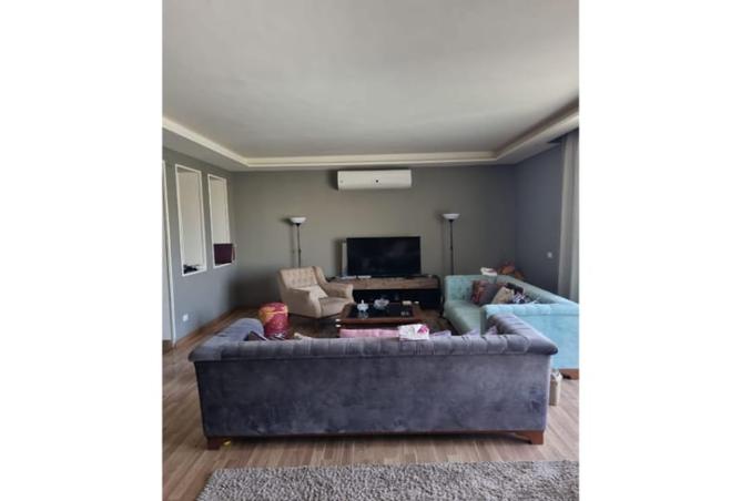 8175397 - Property Image 2