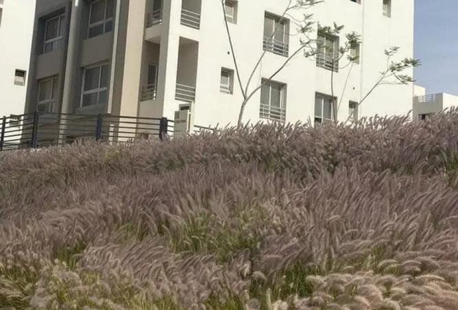 8451130 - صورة العقار 2