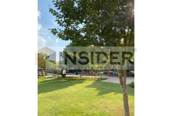 8482839 - Property Image 3