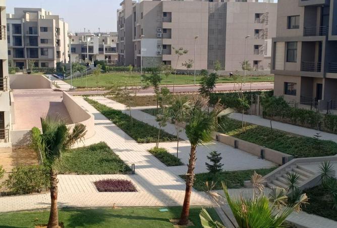 7736077 - صورة العقار 2