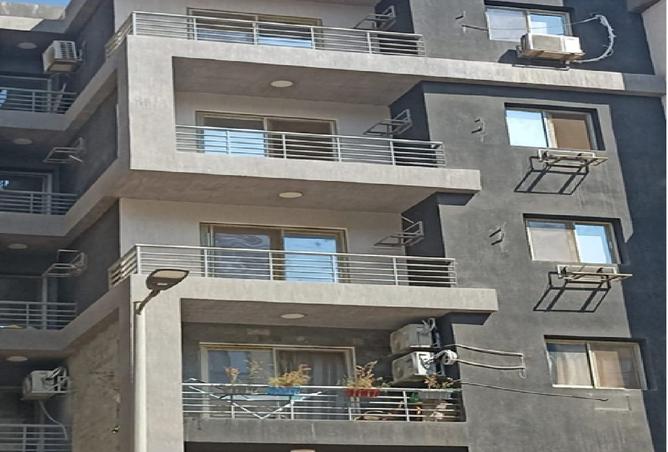 8087600 - Property Image 3