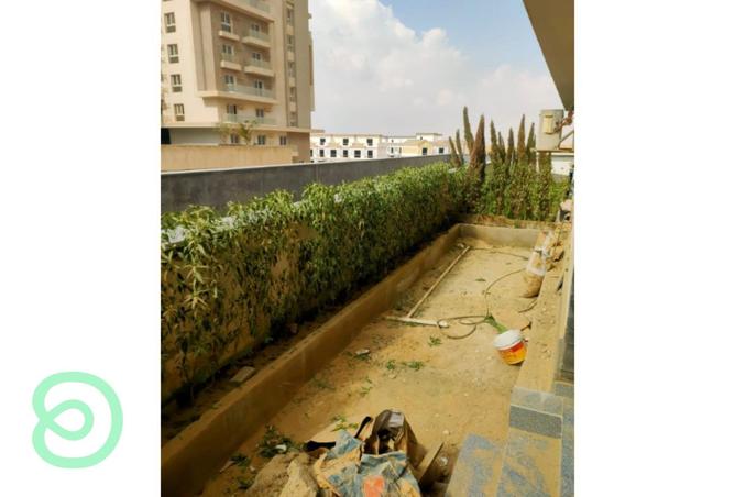 8441010 - Property Image 3