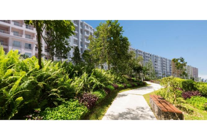 8138607 - Property Image 2