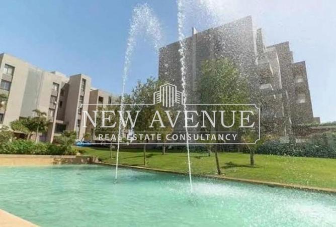 7996921 - Property Image 2
