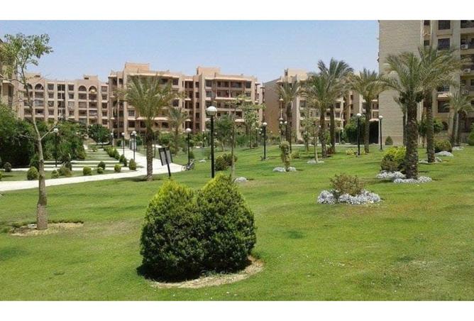 8498616 - Property Image 2