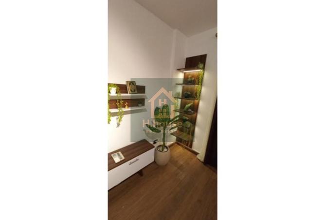8123965 - Property Image 2