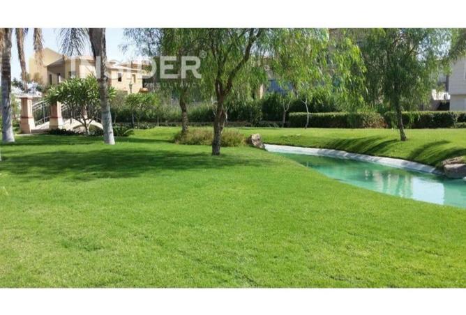 8081397 - Property Image 2