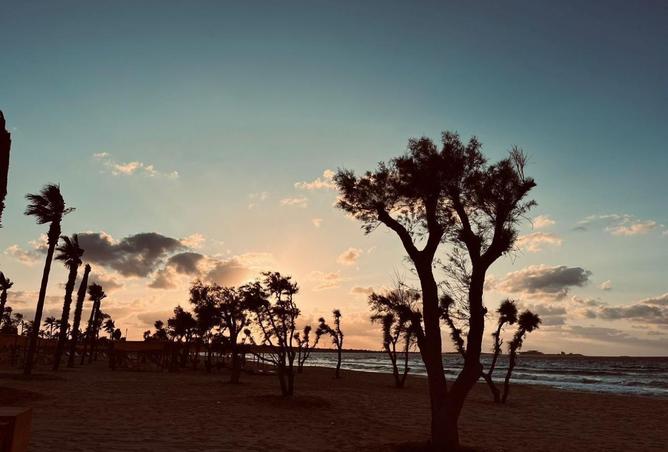 8521262 - Property Image 2