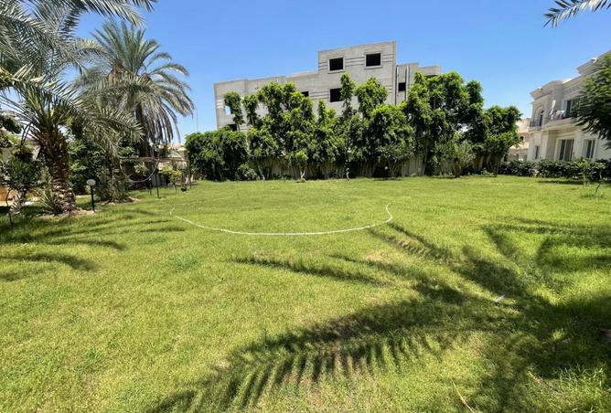 7949427 - صورة العقار 2