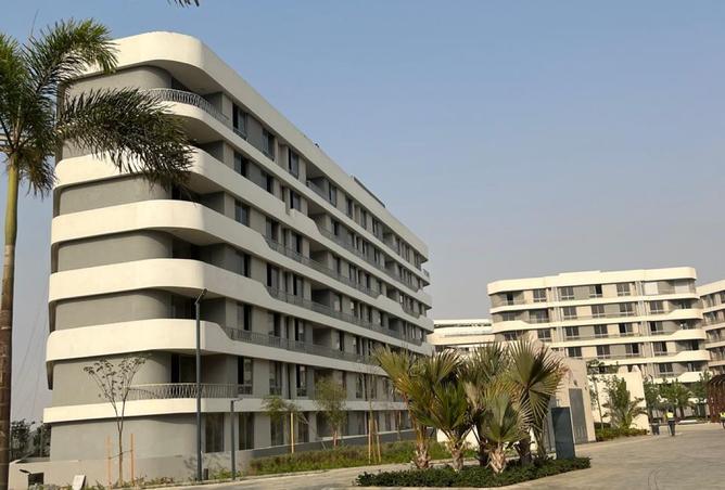 8412374 - صورة العقار 2