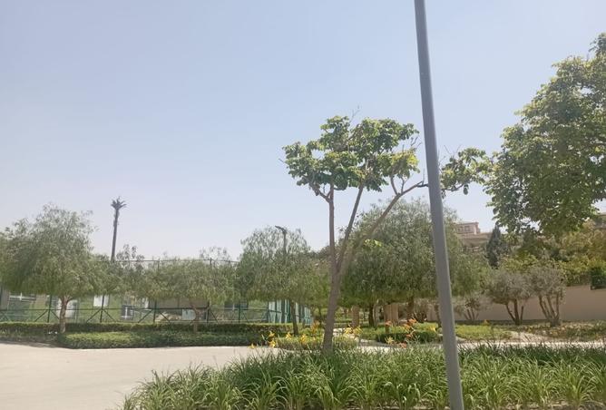 8133625 - صورة العقار 2