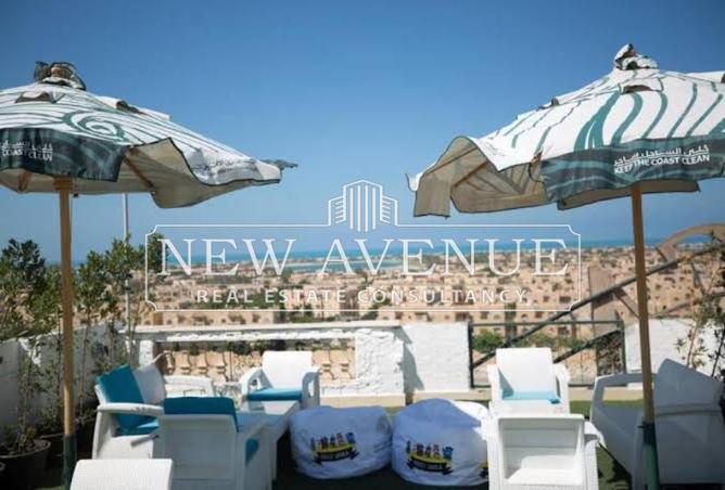 8175987 - Property Image 2