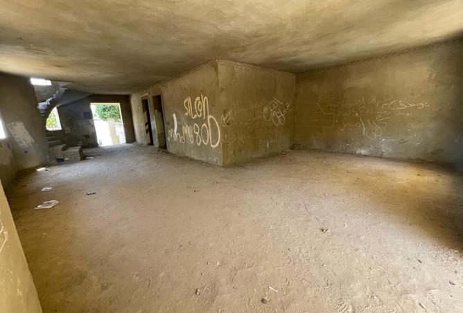 8105387 - Property Image 3