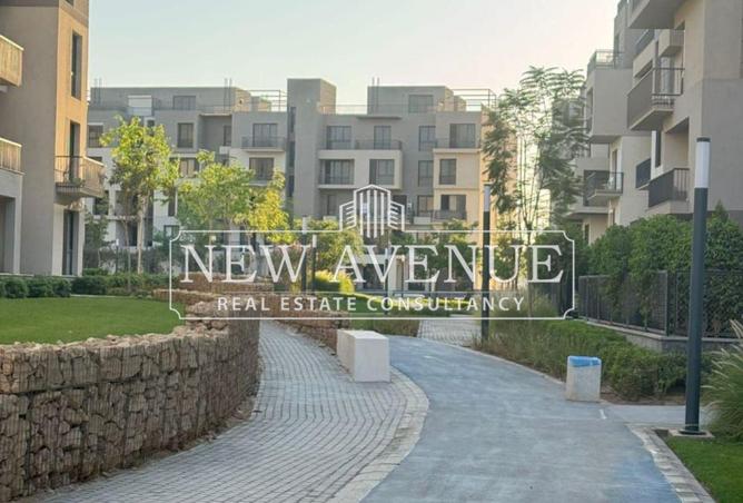 8176560 - Property Image 3