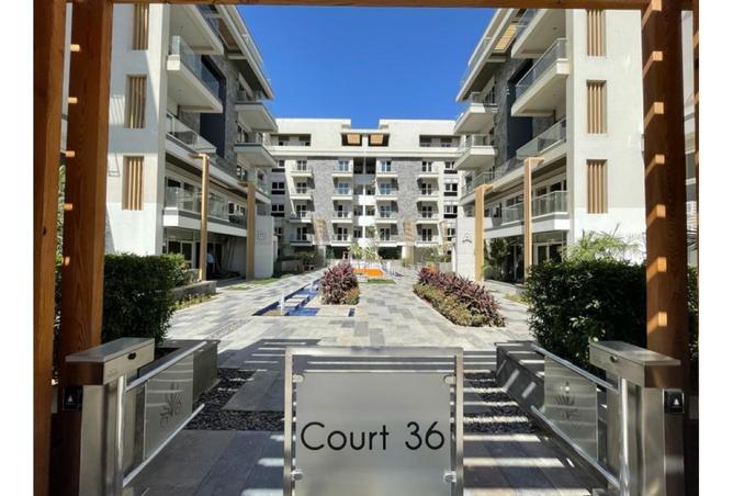 8203184 - Property Image 2