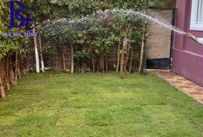 8049493 - Property Image 3