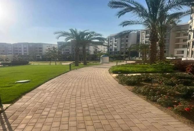 7992527 - Property Image 3