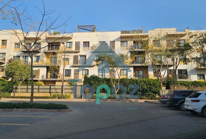 8472391 - Property Image 3