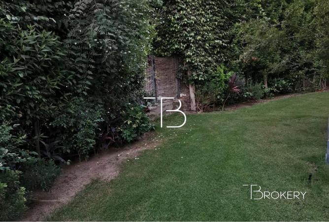 8272912 - صورة العقار 2