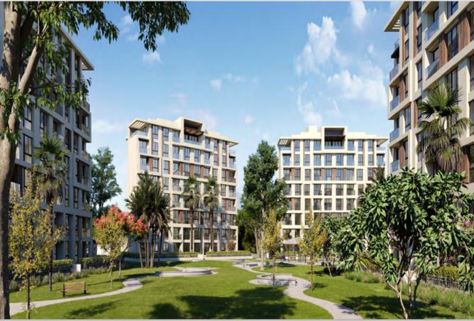 8162884 - Property Image 3