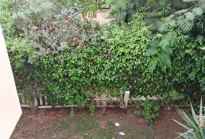 8313103 - صورة العقار 3