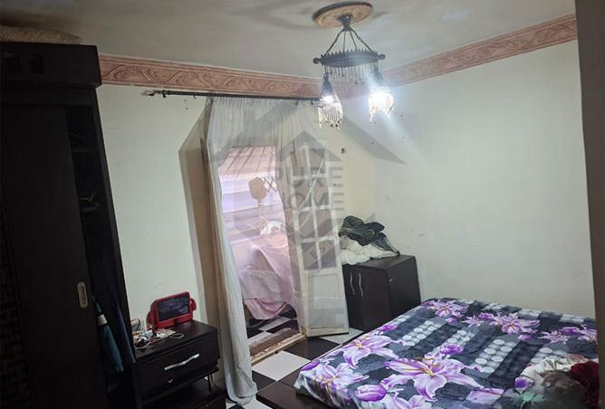 7990262 - Property Image 3