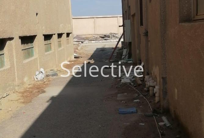 8017620 - صورة العقار 3