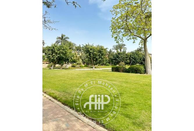 8159929 - صورة العقار 2