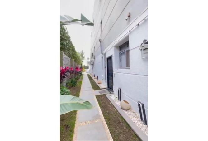 8149319 - Property Image 3